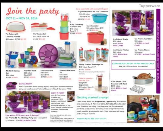 mid Oct to mid Nov 2014 flyer